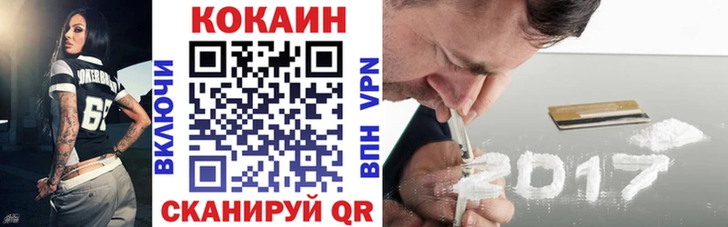 Cocaine FishScale  купить наркоту  Судогда 