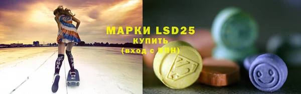 прущие грибы Протвино