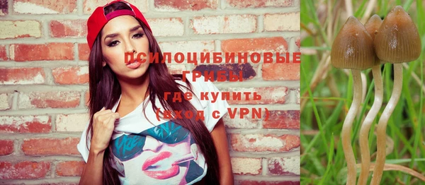 кокс Пролетарск