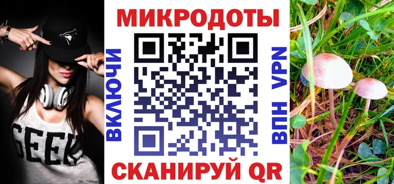 Псилоцибиновые грибы прущие грибы  Судогда 